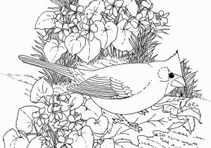 Flower Coloring Pages for Adults to Print Adult Coloring Pages Flowers to and Print for Free