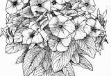 Flower Coloring Pages for Adults to Print Flower Coloring Pages for Adults Best Coloring Pages for Kids