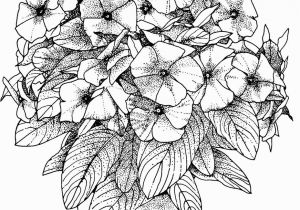 Flower Coloring Pages for Adults to Print Flower Coloring Pages for Adults Best Coloring Pages for Kids