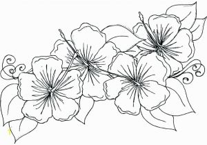 Flower Coloring Pages Free Printable Flowers Coloring Pages Free Printable Flower Coloring Pages