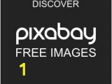 Flower Coloring Pages Hard Mandala Siyah Ve Beyaz Zendala · Pixabay De ücretsiz Resim
