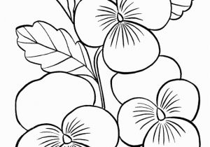 Flower Coloring Pages Printable for Adults Flower Coloring Pages for Adults Az Coloring Pages