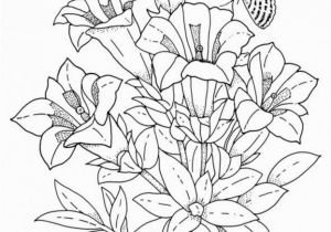 Flower Coloring Pages Printable for Adults Flower Coloring Pages for Adults Bestofcoloring