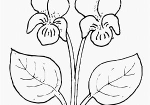 Flower Garden Coloring Pages Elegant Floral Decor for Home Beautiful Decor Floral Decor Floral