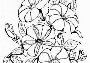 Flower Images Coloring Pages Cool Vases Flower Vase Coloring Page Pages Flowers In A top I 0d