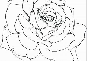 Flowers Coloring Pages Printable Lovely Pretty Coloring Pages Flowers Collection Printable