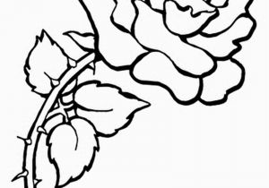 Flowers Coloring Pages Printable Medquit Flower Coloring Pages Dr Flowers Coloring Pages Printable