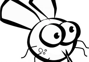 Fly Guy Coloring Pages Free Cartoon Flies Download Free Clip Art Free