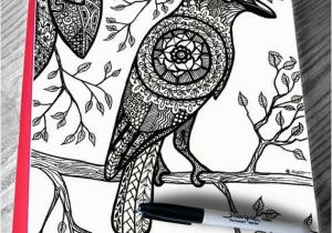 Flying Crow Coloring Page Beautiful Crow Coloring Page for Adult Raven Bird Branches