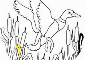Flying Crow Coloring Page Ducksdrawings Flying Mallard Duck Coloring Page