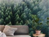 Foggy forest Wall Mural forests From the Sky Ii Wall Mural Wallpaper forest