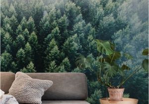Foggy forest Wall Mural forests From the Sky Ii Wall Mural Wallpaper forest