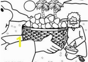 Food From Heaven Coloring Pages 42 Best Manna & Quail From Heaven Images On Pinterest