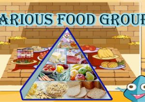 Food Groups Coloring Pages for Preschoolers Food Pyramid the 5 Different Food Groups Learn the Healthy