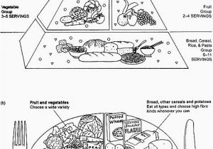 Food Pyramid Coloring Page Luxury Coloring Pages Noodles for Adults Picolour