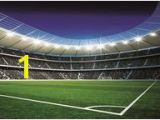 Football Stadium Murals Sports Wall Murals