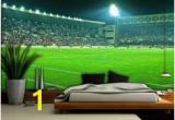 Football Stadium Wall Murals 17 Best Boudy Images