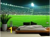 Football Stadium Wall Murals 17 Best Boudy Images