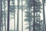 Forest Scene Wall Mural Dreamy Foggy forest Scene Mural Misty forests Mural forest