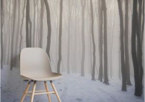 Forest Scene Wall Mural Snow forest Wallpaper