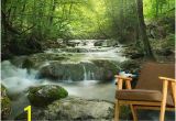 Forest Stream Wall Mural Enchanting forest Waterfall In 2019 Home