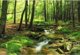 Forest Stream Wall Mural forest Wallpaper River forest Wall Mural Green forest