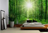 Forest Wall Decal Mural Wall26 Sun Shining On A Hidden Trail In A forest Wall