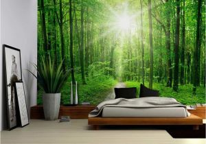 Forest Wall Decal Mural Wall26 Sun Shining On A Hidden Trail In A forest Wall