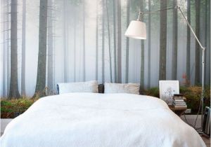 Forest Wall Mural Bedroom Hinterland Haze forest Wallpaper Mural