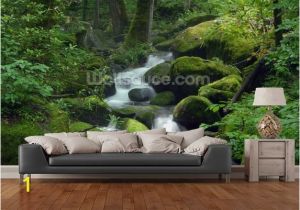 Forest Wall Mural Decal Mossy Waterfall Faux Painting Walls
