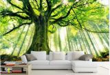 Forest Wall Mural Decal Select Size Wallpaper Wall Mural for Home Office