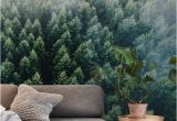 Forest Wall Mural Wallpaper forests From the Sky Ii Wall Mural Wallpaper forest