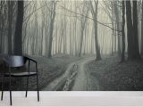 Forest Wall Murals Uk Black and White forest Path Mural