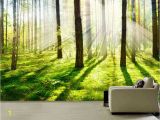 Forest Woodland Wall Murals Morning forest Fog Wall Mural Picture Wall Paper Repositionable