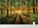 Forest Woodland Wall Murals Spring forest Pat Pinterest