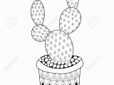 Free Cactus Coloring Pages Cactus Opuntia Microdasys Cactus for Adult Coloring Page Vector