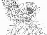 Free Cactus Coloring Pages Opuntia Nopal or Prickly Pear Cactus Super Coloring