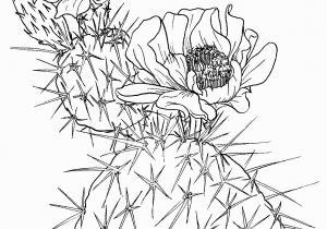 Free Cactus Coloring Pages Opuntia Nopal or Prickly Pear Cactus Super Coloring