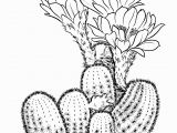 Free Cactus Coloring Pages Prickly Pear Cactus Coloring Page