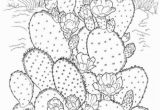 Free Cactus Coloring Pages Printable Coloring Pages for Adults 15 Free Designs