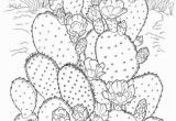 Free Cactus Coloring Pages Printable Coloring Pages for Adults 15 Free Designs