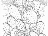 Free Cactus Coloring Pages Printable Coloring Pages for Adults 15 Free Designs