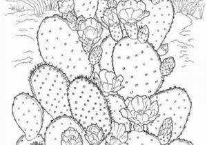 Free Cactus Coloring Pages Printable Coloring Pages for Adults 15 Free Designs