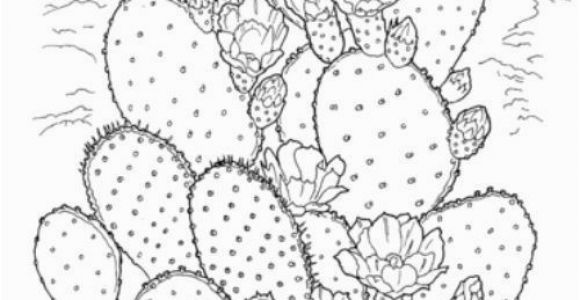 Free Cactus Coloring Pages Printable Coloring Pages for Adults 15 Free Designs