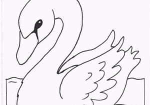 Free Coloring Pages Co Uk Kids N Fun Coloring Page Swans Swans