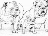 Free Coloring Pages Dogs and Puppies English Bulldogs with Puppy Coloring Page