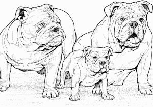 Free Coloring Pages Dogs and Puppies English Bulldogs with Puppy Coloring Page