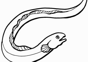 Free Coloring Pages Fishing Pin by Shreya Thakur On Free Coloring Pages