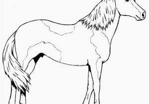 Free Coloring Pages for Horses Free Horse Coloring Pages Coloring Page Hands New Printable Cds 0d