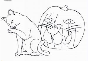 Free Coloring Pages for Kids Cats Coloring Page for Kids Coloring Page for Kids Staggering